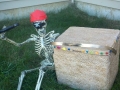 Willy and the treasure chest